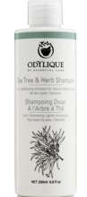 Odylique by Essential Care organiczny oczyszczający szampon z olejkiem z drzewa herbacianego i ziołami, 200 ml