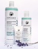 Odylique organiczny nawilżający szampon lawendowy do włosów normalnych i suchych i wrażliwej skóry głowy 500 ml
